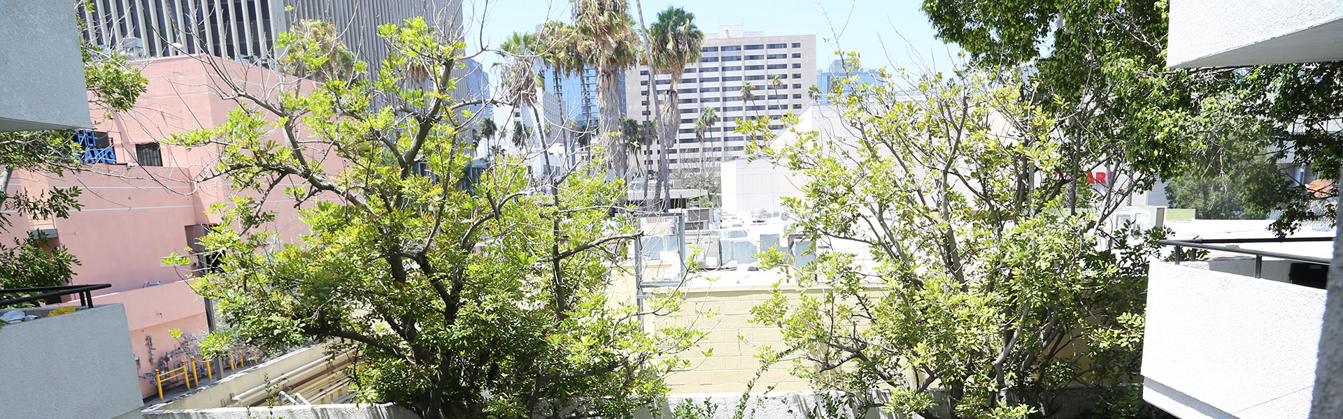 view header